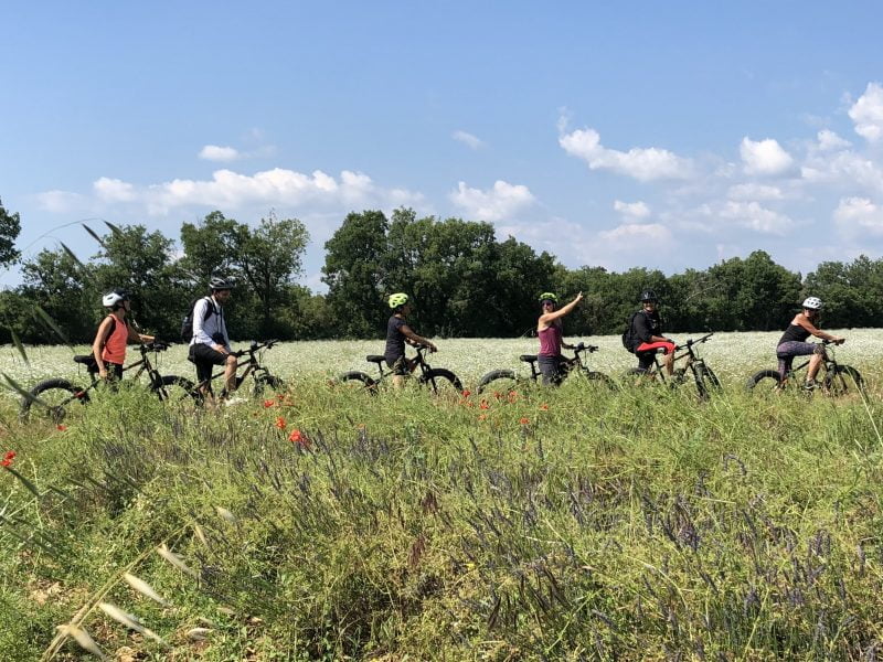 Méditerranée à vélo Manosque à Grau du Roi