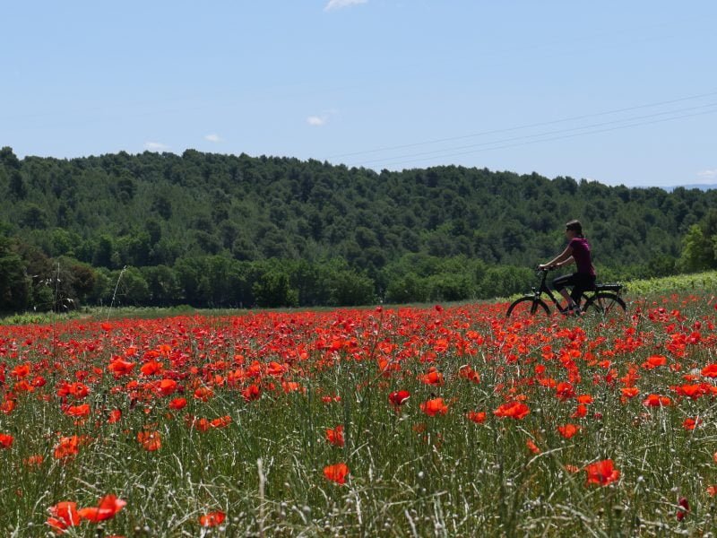 Tour du Luberon à Vélo