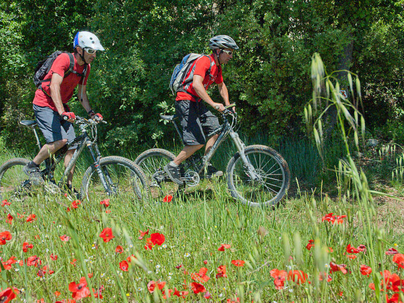 Grande Traversée - Les Chemins du Soleil de la Haute Provence à Nice