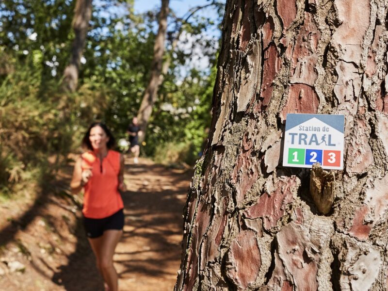 Trek Rando Golfe du Morbihan