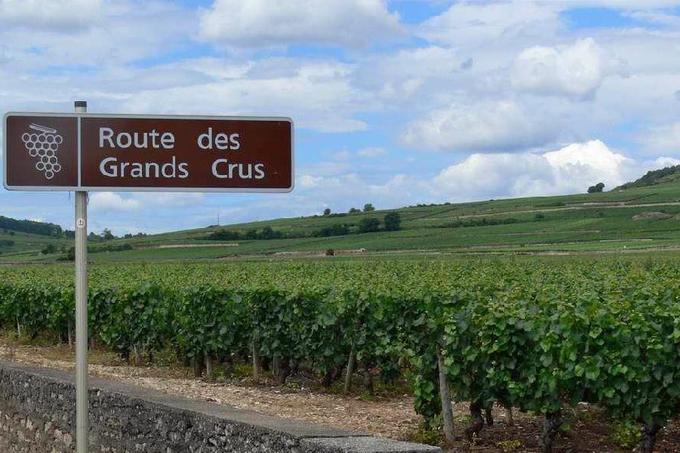 Tour de bourgogne à vélo, à travers les vignobles