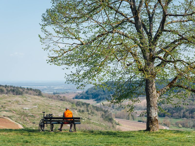 Tour de bourgogne à vélo, à travers les vignobles